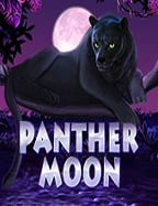 วิธีเล่น ยู ฟ่า 777SLOT สำหรับมือใหม่ เข้าใจง่าย ได้จริง